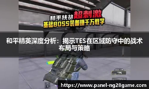 和平精英深度分析：揭示TES在区域防守中的战术布局与策略